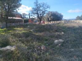 Terreno en venta en Galapagar, El Chaparral photo 0