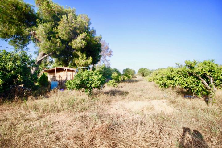Casa con terreno en venta en Creixell, La Plana - La Barquera photo 0