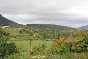 Casa con terreno en venta en El Gastor, El Gastor photo 0