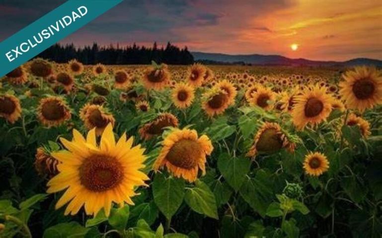 Piso en venta en Torroella de Montgrí photo 0