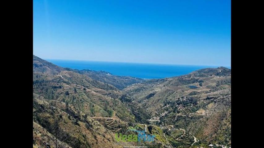 Casa con terreno en venta en Almuñécar, Camino de peña escrita, 18690 photo 0