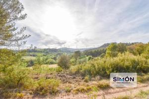Casa con terreno en venta en Copóns, Sant Martí de Sesgeuioles photo 0