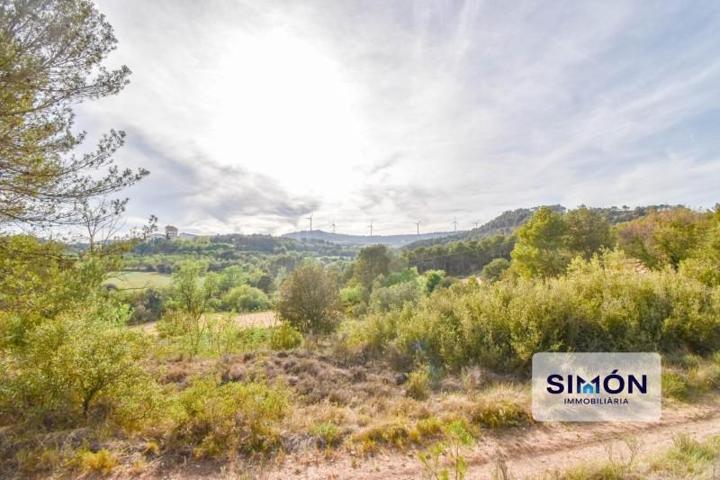 Casa con terreno en venta en Copóns, Sant Martí de Sesgeuioles photo 0