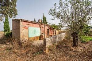Casa con terreno en venta en Manacor, Manacor Centro photo 0