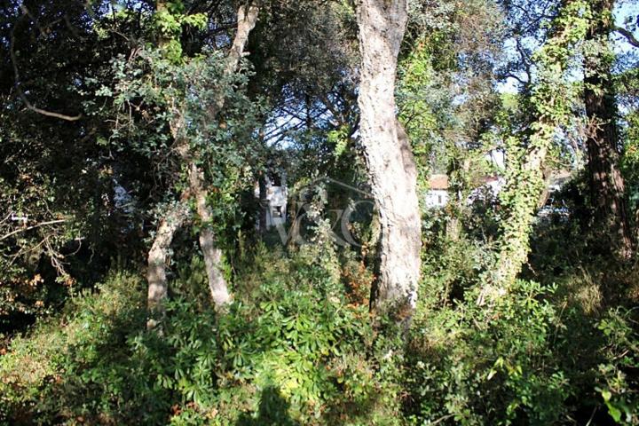 Terreno en venta en Santa Cristina d'Aro, Carrer del Montseny, 57, 17245 photo 0