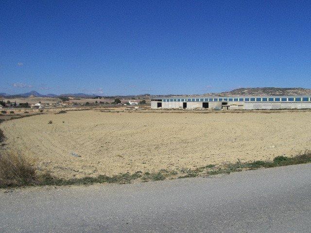 Terreno en venta en Lorca, Diputación de Rio photo 0