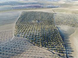 Terreno en venta en Las Gabias, Gabias Las photo 0