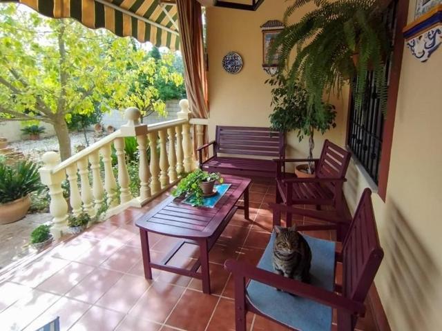 Casa con terreno en venta en Córdoba, Carretera Palma del Río photo 0