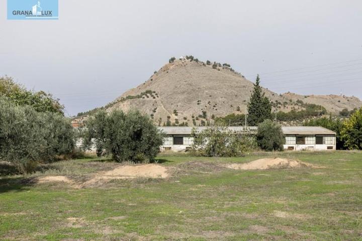 Terreno en venta en Atarfe, Atarfe photo 0