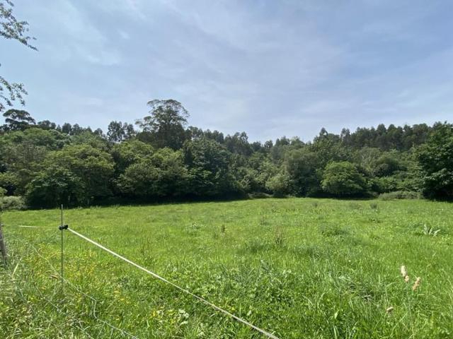 Terreno en venta en Ribadesella, Ribadesella photo 0