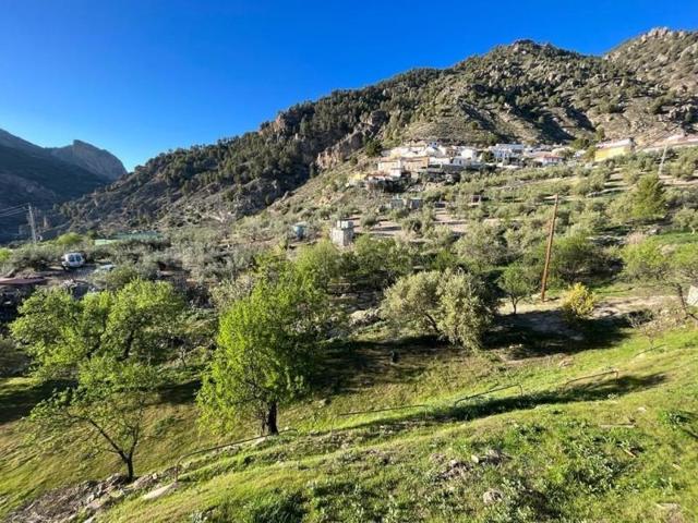 Casa con terreno en venta en Moclín, Olivares photo 0