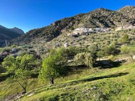 Casa con terreno en venta en Moclín, Olivares photo 0