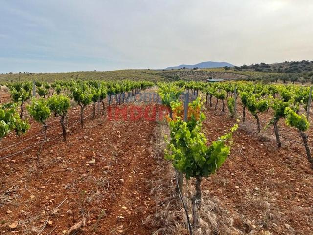 Chalet en venta en Villar del Pedroso photo 0