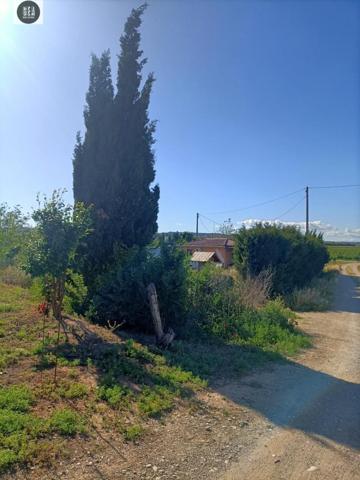 Terreno en venta en Vilanova de Segrià, VILANOVA DE SEGRIA photo 0