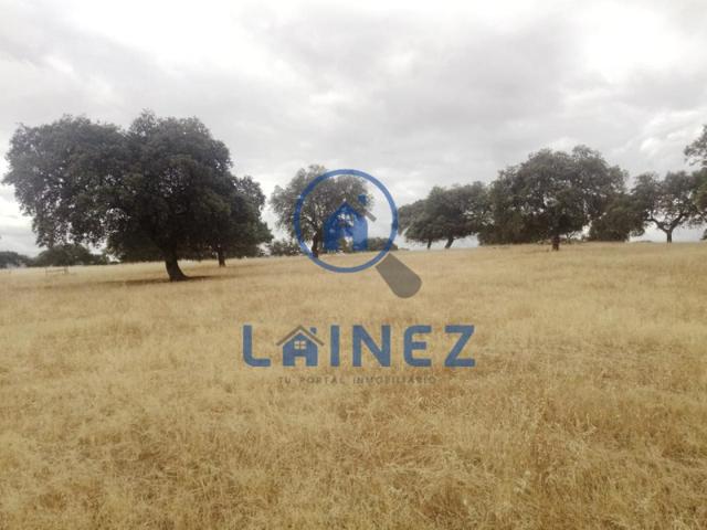 Terreno en venta en Fuente Obejuna, Paseo de la Fuente Nueva, 14297 photo 0