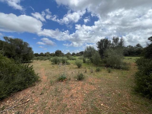 Terreno en venta en Sencelles, Sencelles photo 0