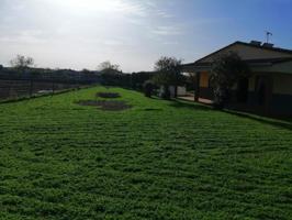 Casa con terreno en venta en Torremocha, Extremadura photo 0