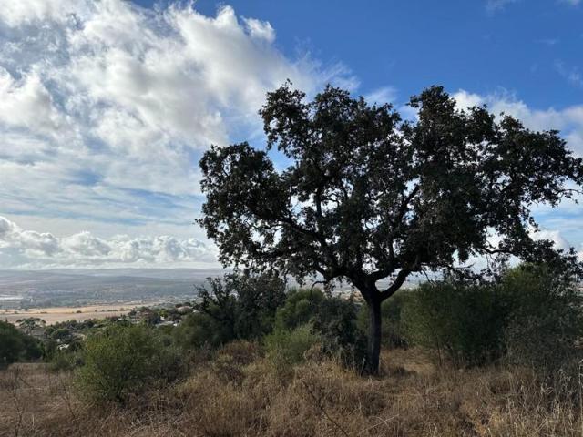 Terreno en venta en Córdoba, Encinares de Alcolea photo 0