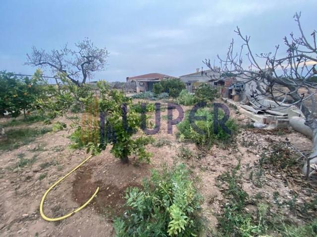 Chalet en venta en San Vicente del Raspeig, San Vicente Del Raspeig photo 0