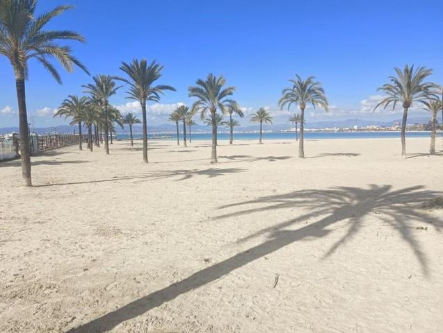 Local comercial en venta en Llucmajor, SArenal photo 0