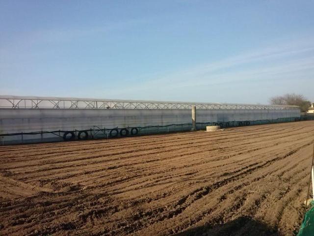 Terreno en venta en Chipiona, Chipiona norte photo 0