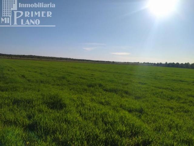 Terreno en venta en Tomelloso, Ctra. alavesa photo 0