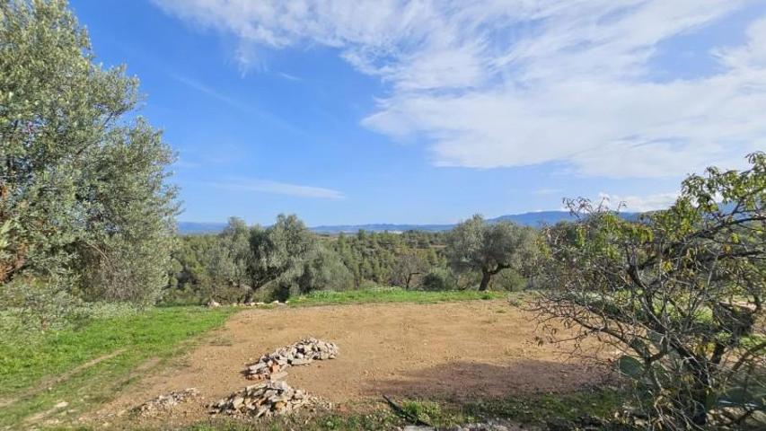 Chalet en venta en Tivissa, Afueras del Pueblo photo 0