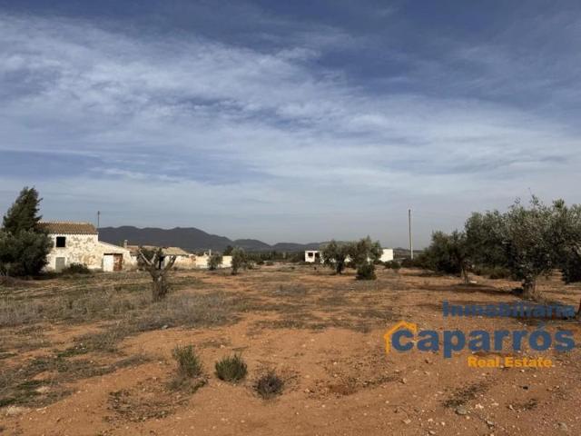 Terreno en venta en Pulpí, Área de Pulpí photo 0