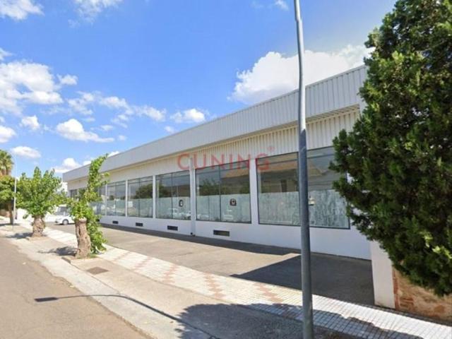 Nave industrial en venta en Cabeza del Buey photo 0