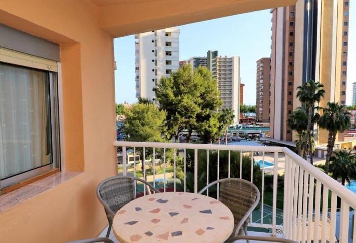 Apartamento en venta en Benidorm, Levante photo 0