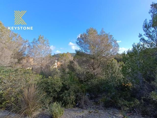 Terreno en venta en Son Servera, Pueblo photo 0