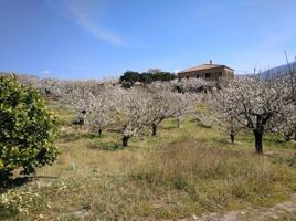 Chalet en venta en El Torno, Valle del jerte photo 0