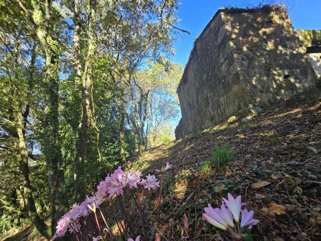 Terreno en venta en Gondomar, GANDARA, 36389 photo 0