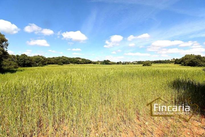 Terreno en venta en Felanitx, Ma-5120, 07200 photo 0