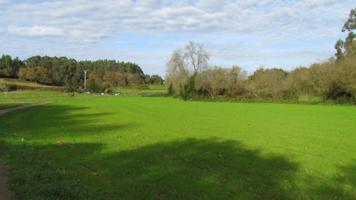 Chalet en venta en Ruiloba, Ruiloba photo 0