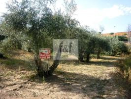 Terreno en venta en Jaraiz de la Vera, Carretera de Torremenga, 10, 10400 photo 0