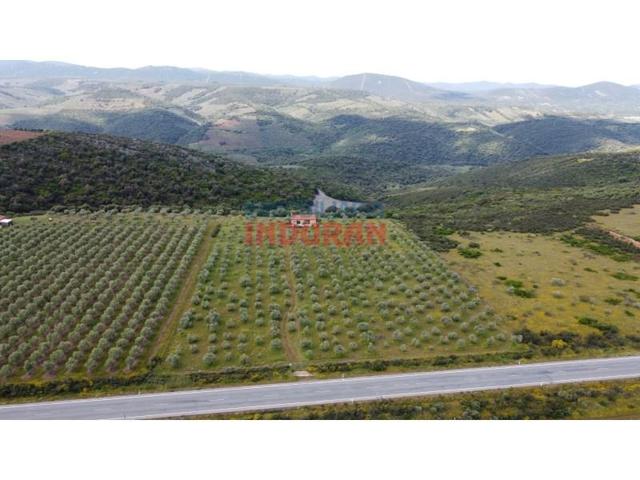 Chalet en venta en Castañar de Ibor photo 0