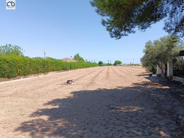 Casa en venta en Dolores, Comunidad valenciana photo 0