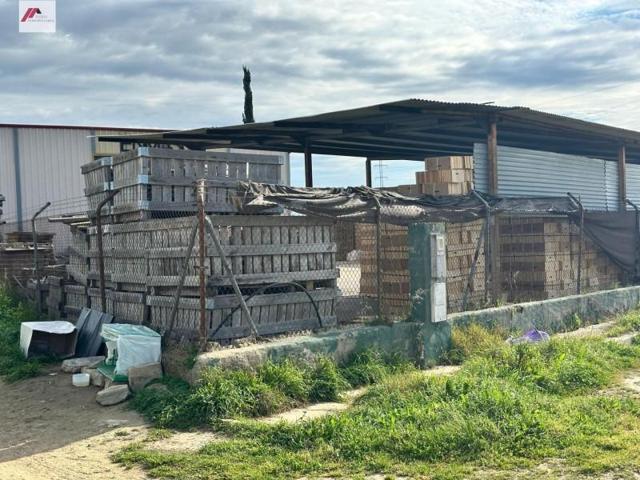 Nave industrial en venta en El Puerto de Santa María, POLIGONO SAN JOSE photo 0