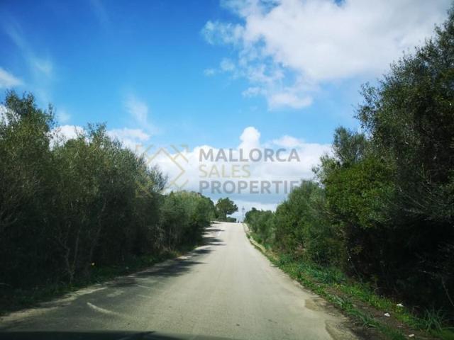 Terreno en venta en Mallorca, Son Gual photo 0