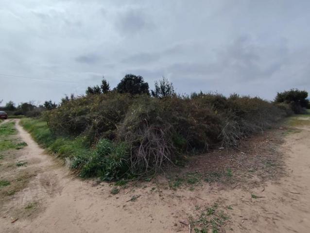 Terreno en venta en Sagunto, Sagunto - Sagunt photo 0