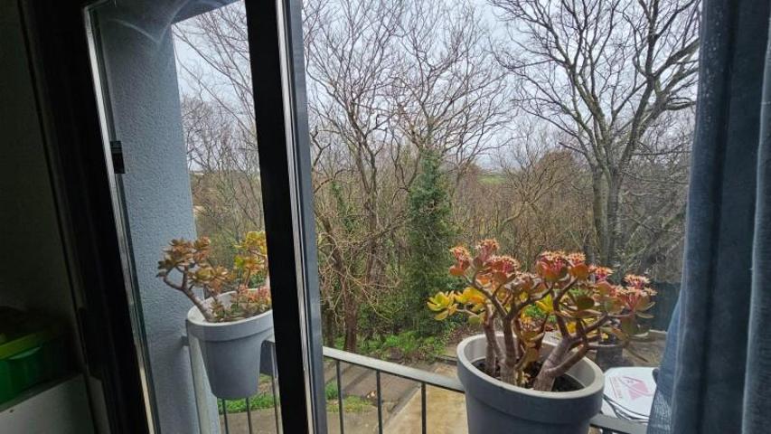 Adosada en venta en Sant Jaume dels Domenys, El papiolet photo 0