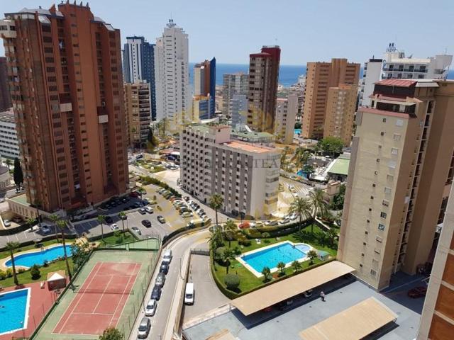 Piso en venta en Benidorm photo 0