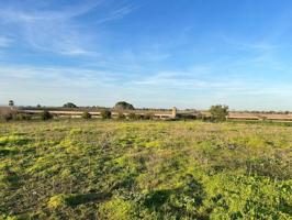 Nave industrial en venta en Benacazón, Andalucia photo 0