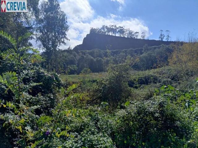 Terreno en venta en Tacoronte, Lomo Colorado photo 0