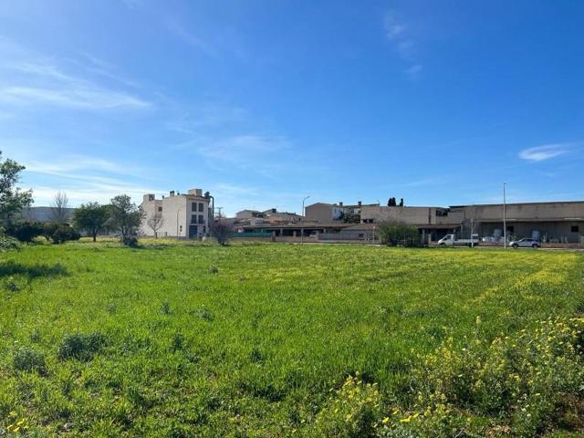 Terreno en venta en Porreres, A las afueras photo 0