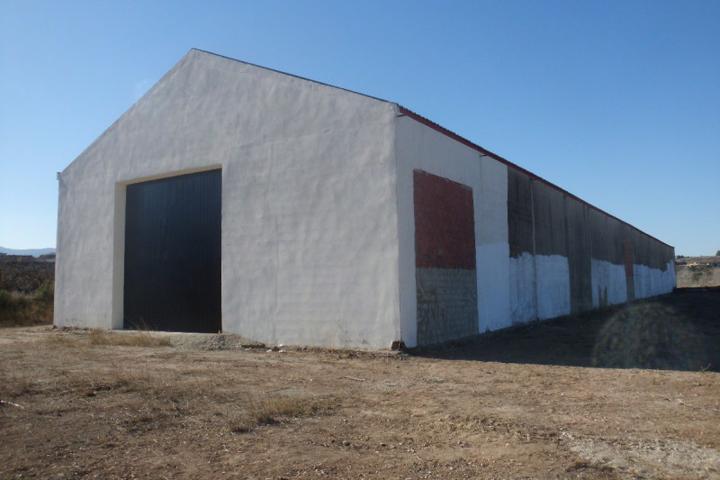 Nave industrial en venta en Bèlgida, Belgida photo 0