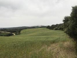Terreno en venta en Vejer de la Frontera, Abejaruco photo 0