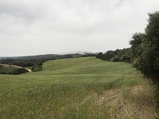 Terreno en venta en Vejer de la Frontera, Abejaruco photo 0
