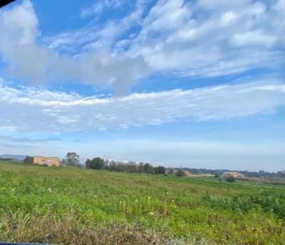 Terreno en venta en Manacor, Manacor photo 0